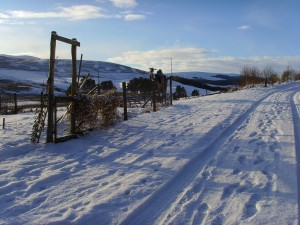 Clashnettie-path