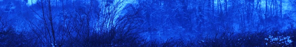 nocturnal work